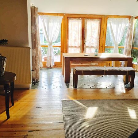 Videki Haz Guest House Tagyon Ngoại thất bức ảnh