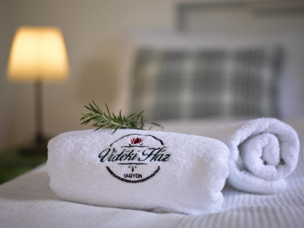Videki Haz Guest House Tagyon Ngoại thất bức ảnh