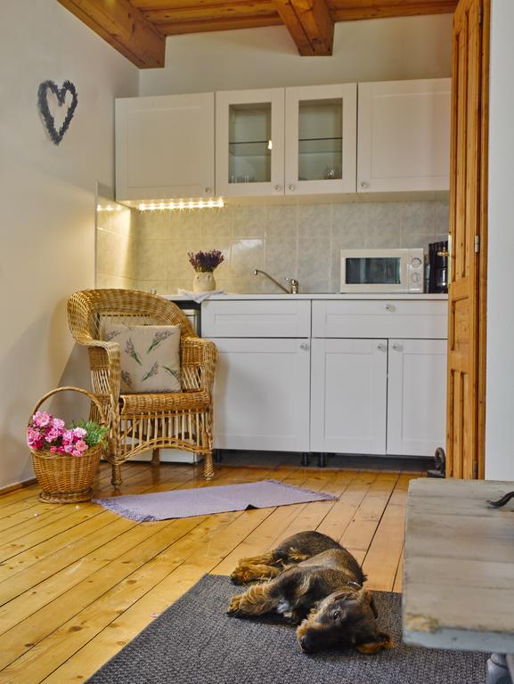 Videki Haz Guest House Tagyon Ngoại thất bức ảnh