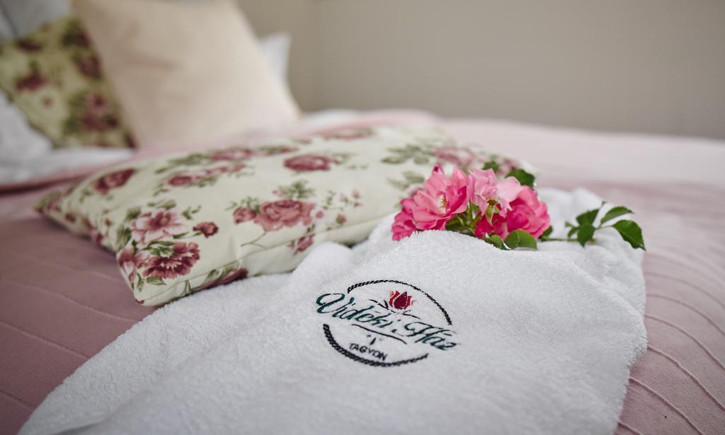 Videki Haz Guest House Tagyon Ngoại thất bức ảnh