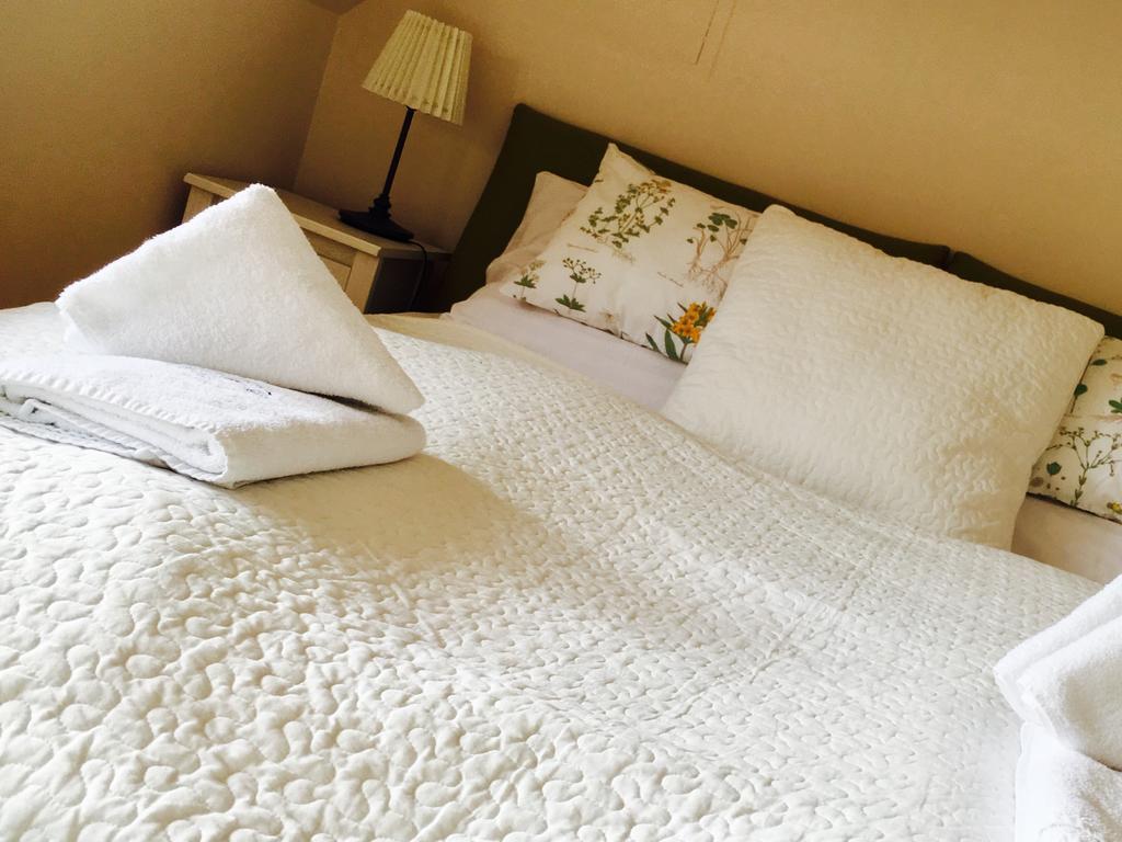 Videki Haz Guest House Tagyon Ngoại thất bức ảnh