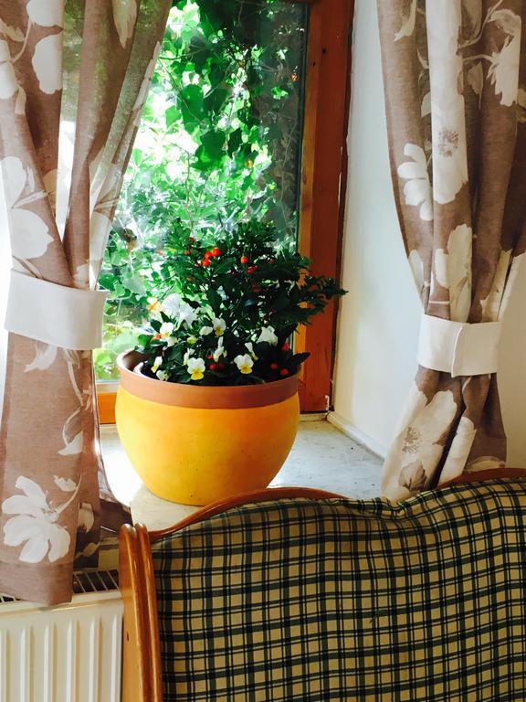 Videki Haz Guest House Tagyon Ngoại thất bức ảnh